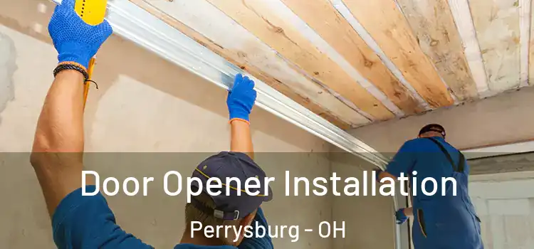Door Opener Installation Perrysburg - OH