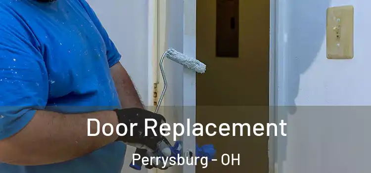 Door Replacement Perrysburg - OH