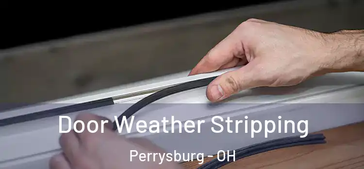  Door Weather Stripping Perrysburg - OH