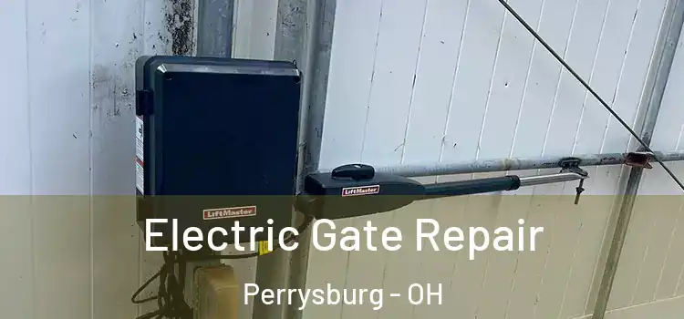  Electric Gate Repair Perrysburg - OH