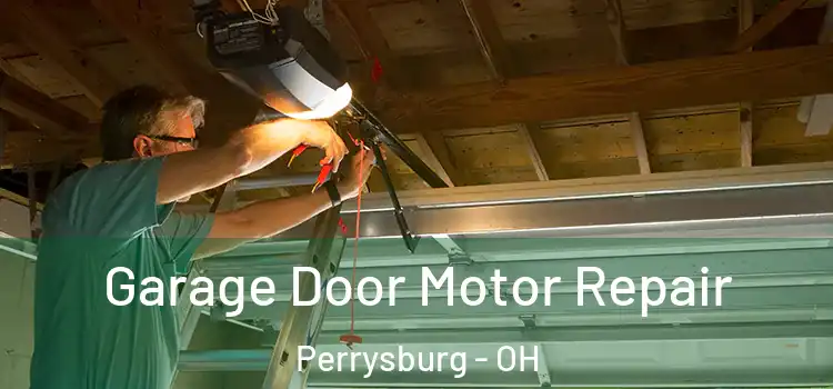  Garage Door Motor Repair Perrysburg - OH