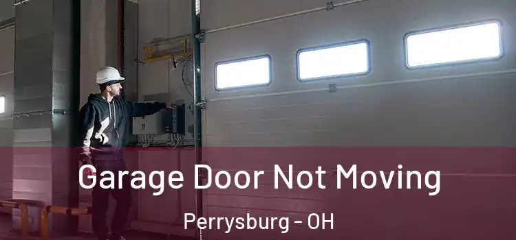  Garage Door Not Moving Perrysburg - OH