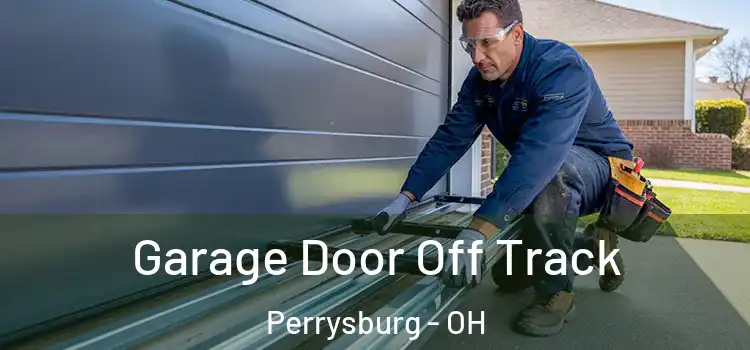  Garage Door Off Track Perrysburg - OH