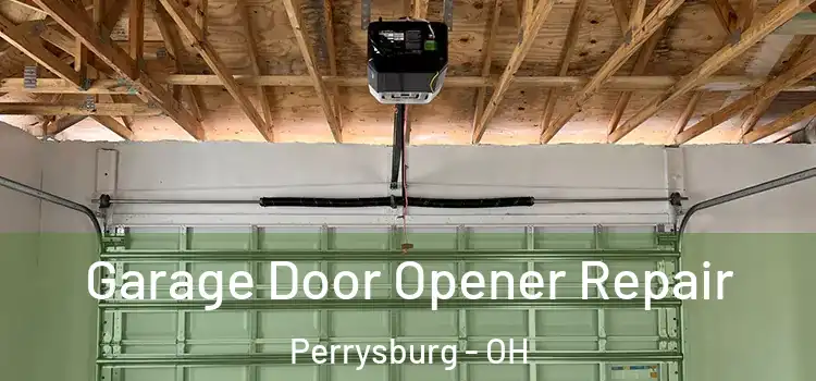  Garage Door Opener Repair Perrysburg - OH