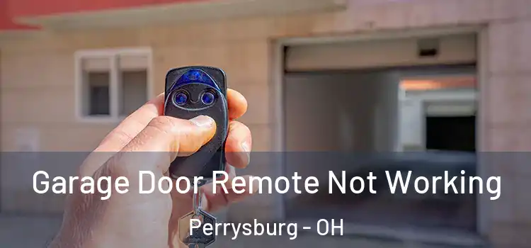  Garage Door Remote Not Working Perrysburg - OH