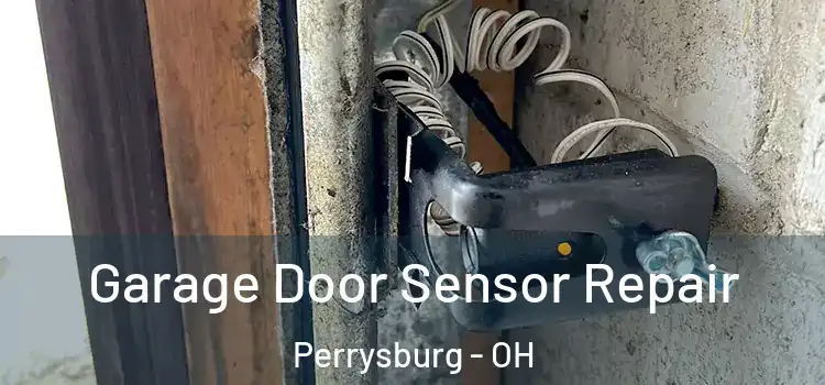  Garage Door Sensor Repair Perrysburg - OH