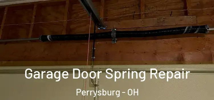  Garage Door Spring Repair Perrysburg - OH
