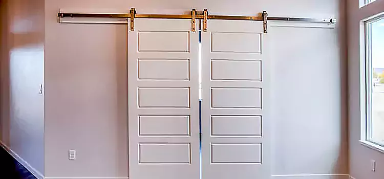 Glass Barn Door with Installation Hardware Kit Perrysburg