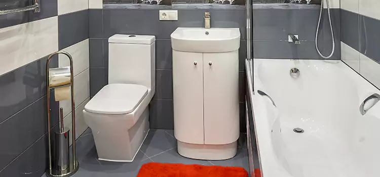 Hansgrohe Shaving Mirror Perrysburg