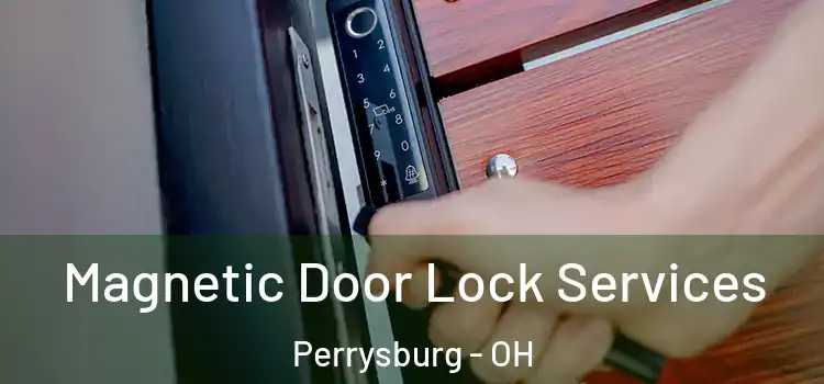 Magnetic Door Lock Services Perrysburg - OH