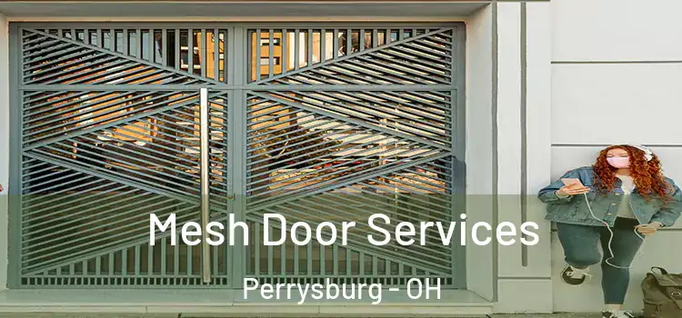  Mesh Door Services Perrysburg - OH