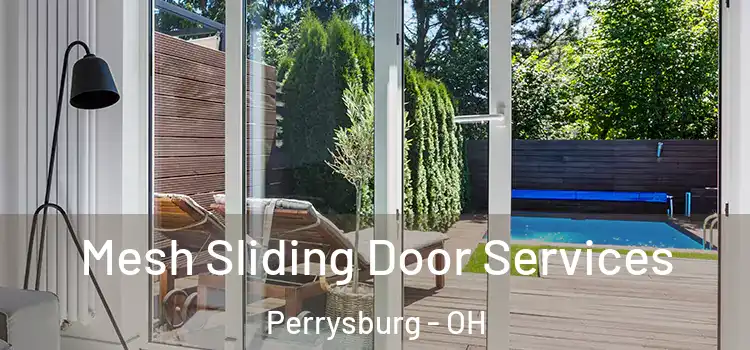 Mesh Sliding Door Services Perrysburg - OH